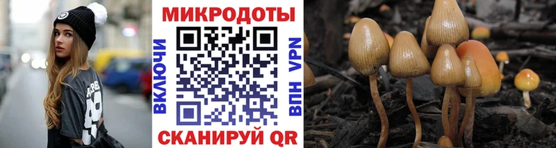 Псилоцибиновые грибы мицелий  Гаджиево 