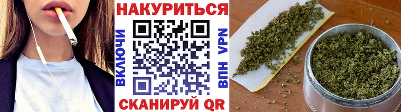 наркота  Гаджиево  Каннабис White Widow 